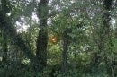 Jeu de Soleil